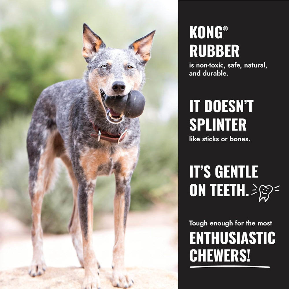 KONG Extreme Donut large-xl-size shown for power chewers and bigger dogs.