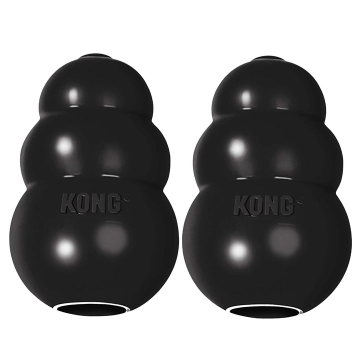 KONG Extreme dog toy with erratic bounce for engaging fetch.