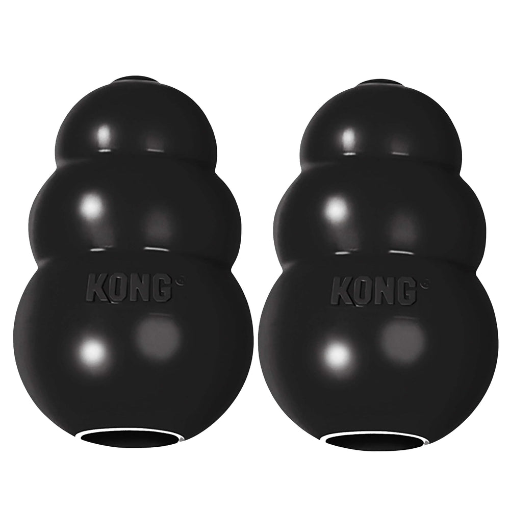 KONG Extreme dog toy with erratic bounce for engaging fetch.