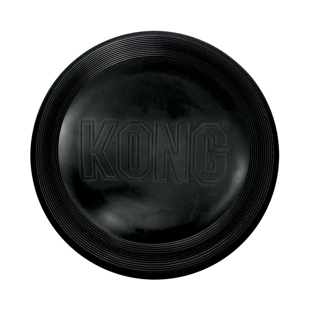 KONG Extreme Flyer in action for fetch with a large dog.