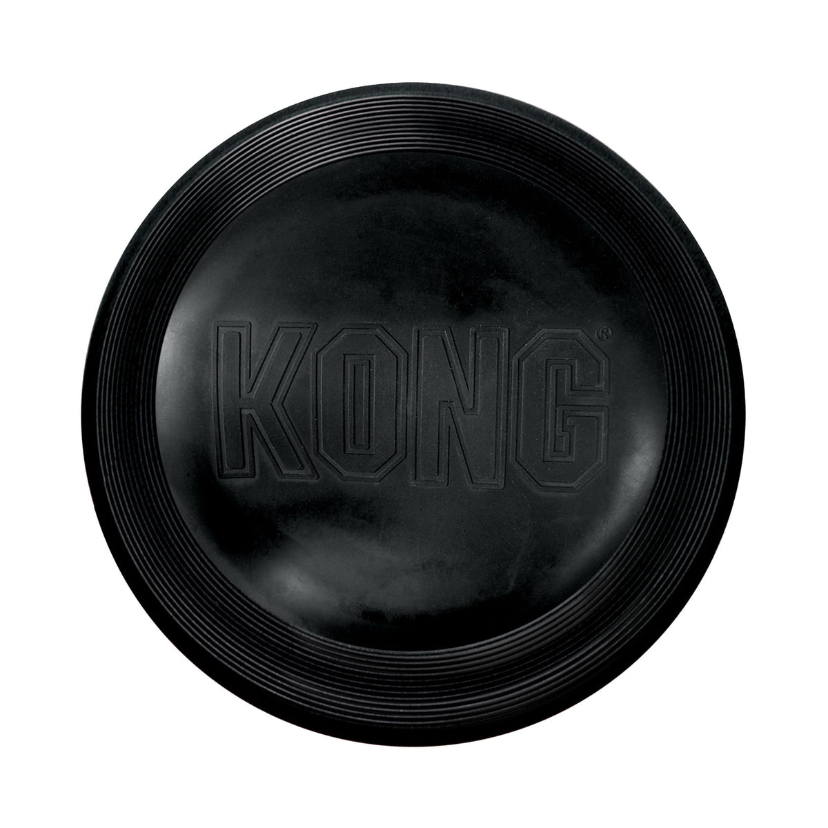 KONG Extreme Flyer in action for fetch with a large dog.