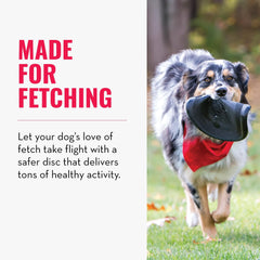 KONG Extreme Flyer soft disc delivers gentle rebound for safe catches.