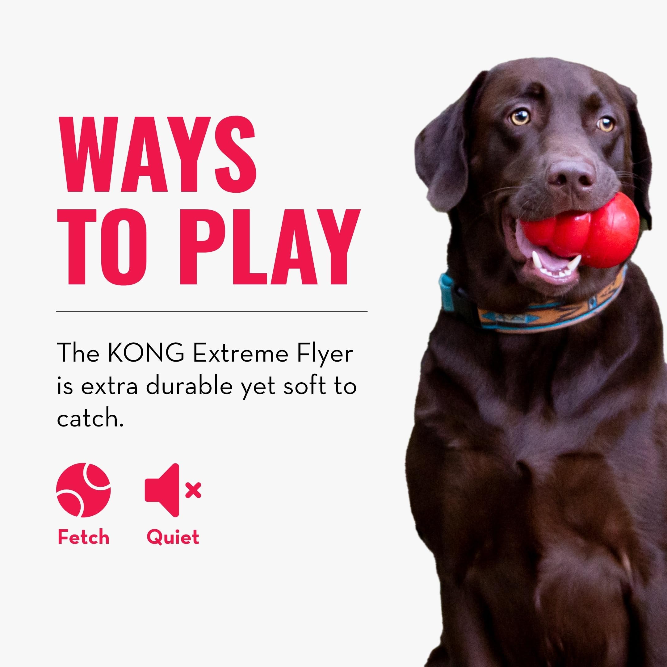 Durable KONG Extreme Flyer toy stands up to vigorous play.