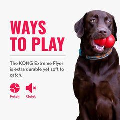 Durable KONG Extreme Flyer toy stands up to vigorous play.