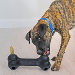 KONG Extreme Goodie Bone features durable natural rubber for tough chewers.