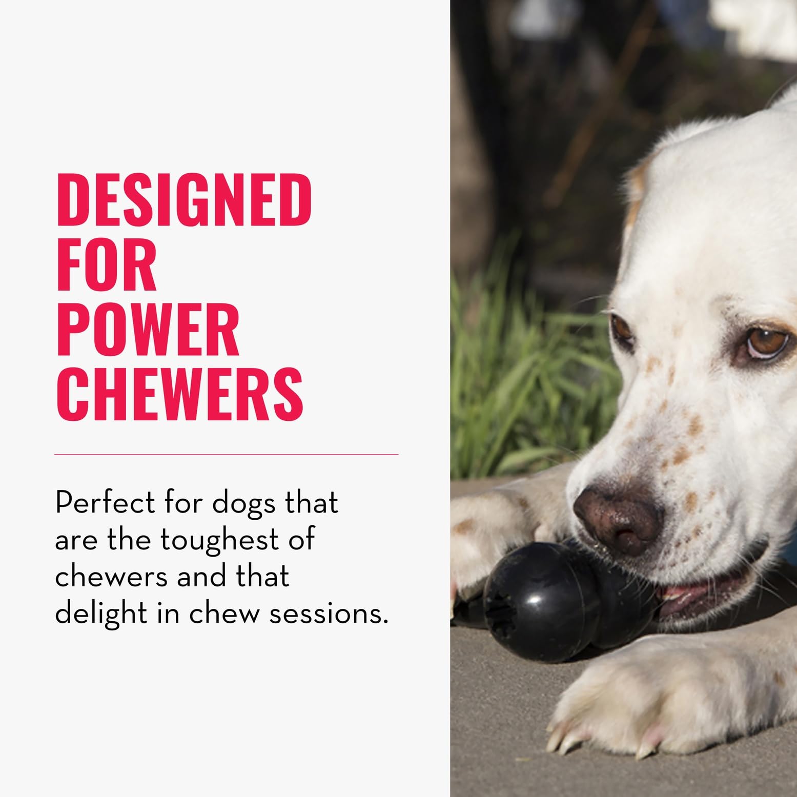 KONG Extreme Goodie Bone Goodie Grippers reveal treat-dispensing fun during playtime.