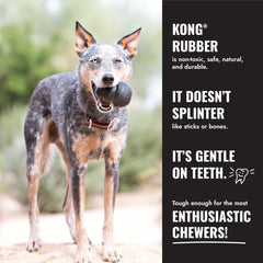 KONG Extreme Goodie Bone ready for treat stuffing with Easy Treat or Ziggies.