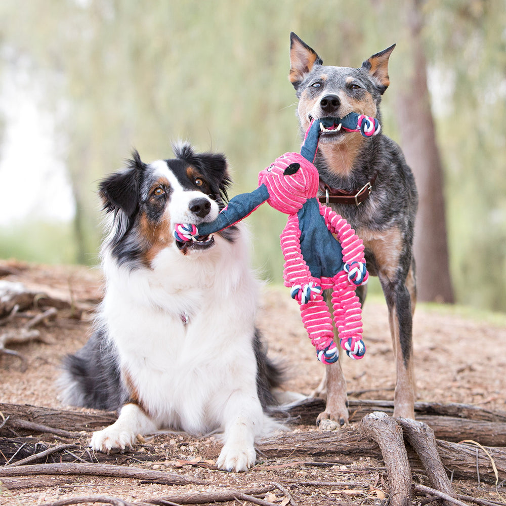 KONG Floppy Knots hippo toy with internal rope for tactile stimulation during play.