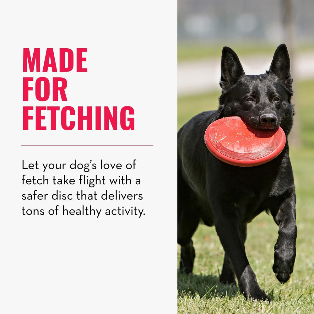 KONG Flyer durable natural rubber emphasizes long-lasting play for small dogs.
