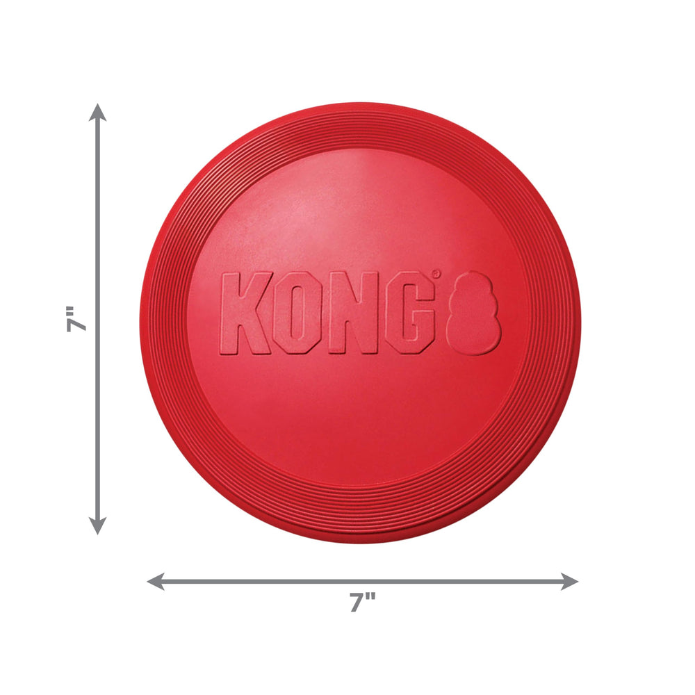 KONG Flyer dynamic rebound in action adds extended fetch fun.