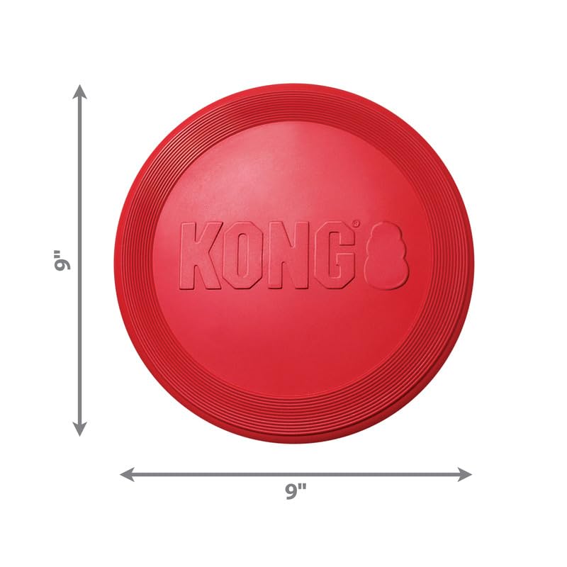 Dog catching the KONG Flyer during fetch, showcasing aerodynamic design.