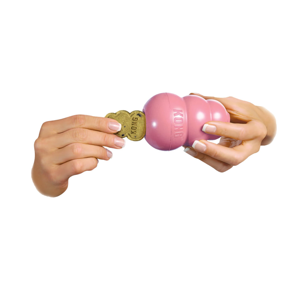 Frozen stuffed KONG with Easy Treat for longer engagement