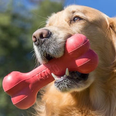 KONG Goodie Bone durable natural rubber for chewers