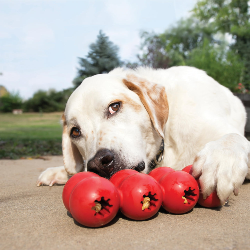 KONG Goodie Ribbon durable natural rubber for safe chewing and long-lasting use.