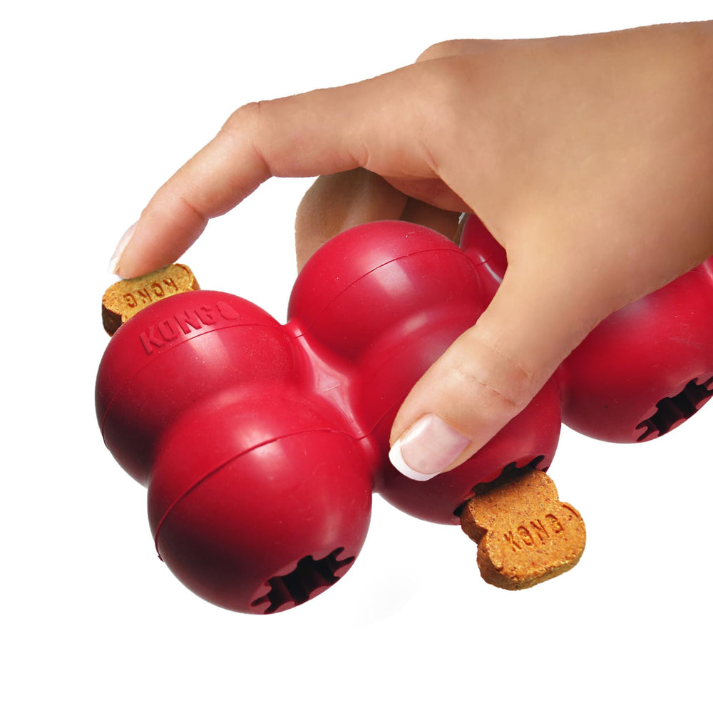 KONG Goodie Ribbon for medium dogs offering engaging enrichment during playtime.