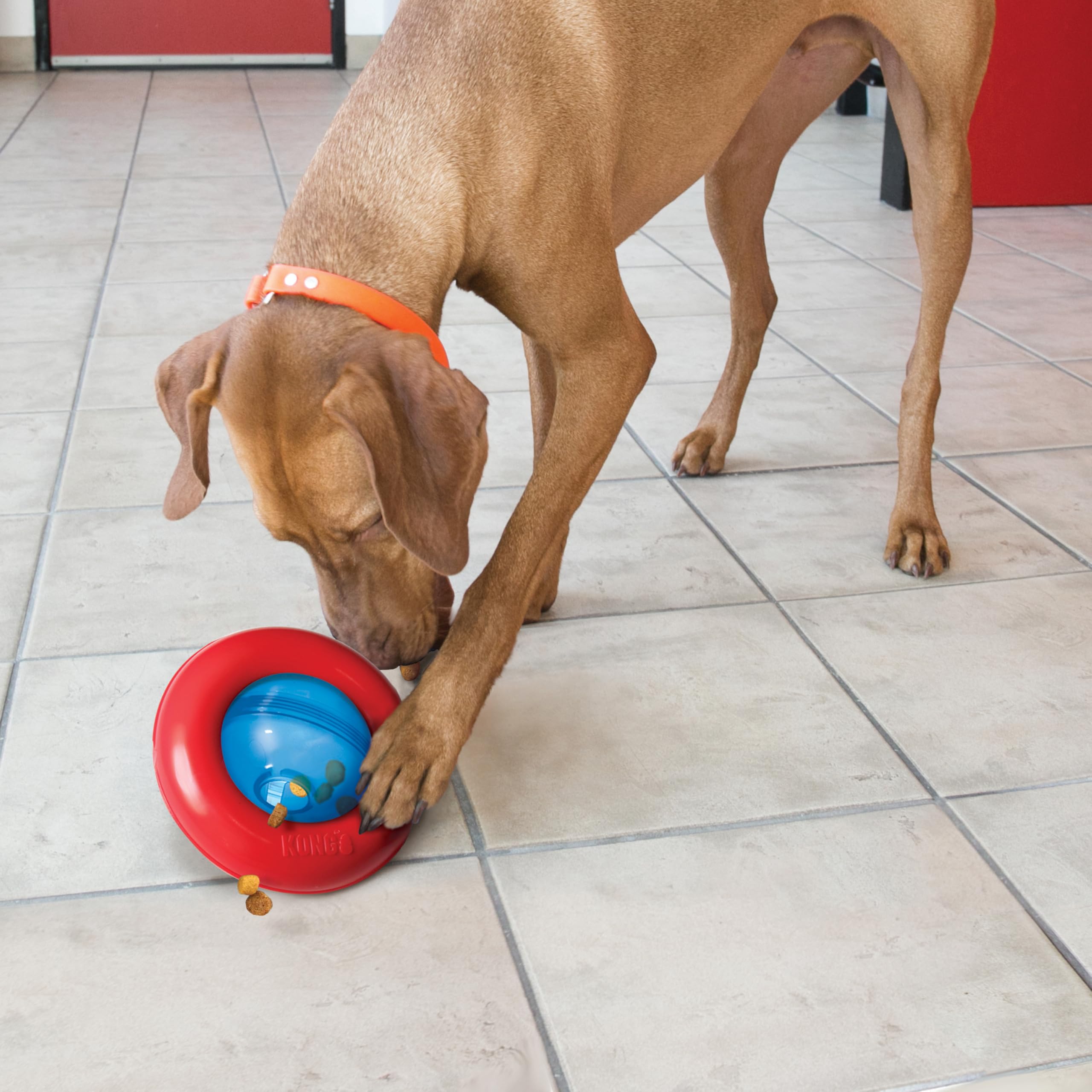 KONG Gyro slow-feeder design promotes longer, mindful eating sessions.