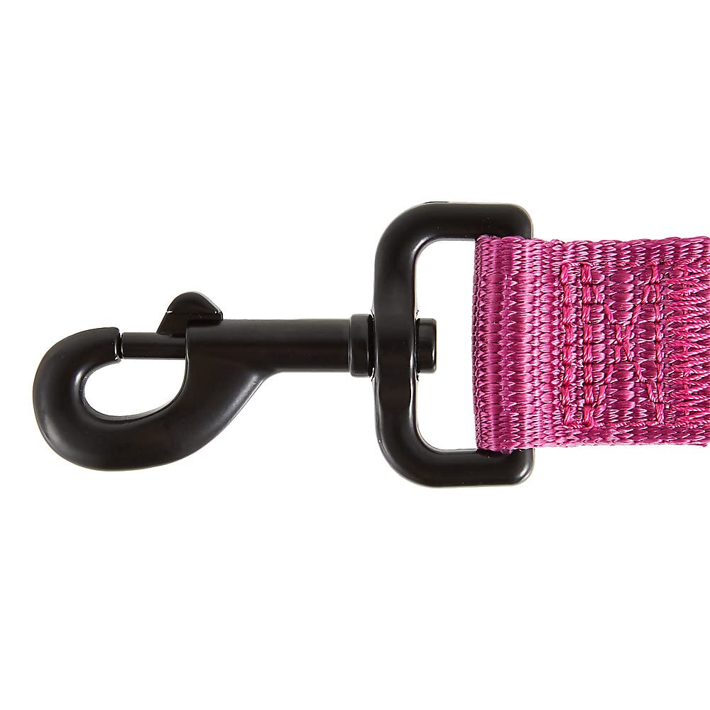 Detail of KONG heavy-duty clasp and hardware on pink leash.