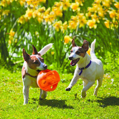 KONG Jumbler Ball interactive tennis and squeaker for engaging play