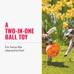 KONG Jumbler Ball interactive toy in action for fetch and squeaks