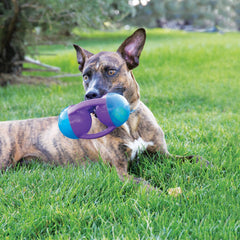 KONG Jumbler interior tennis ball boosts retrieval and engagement