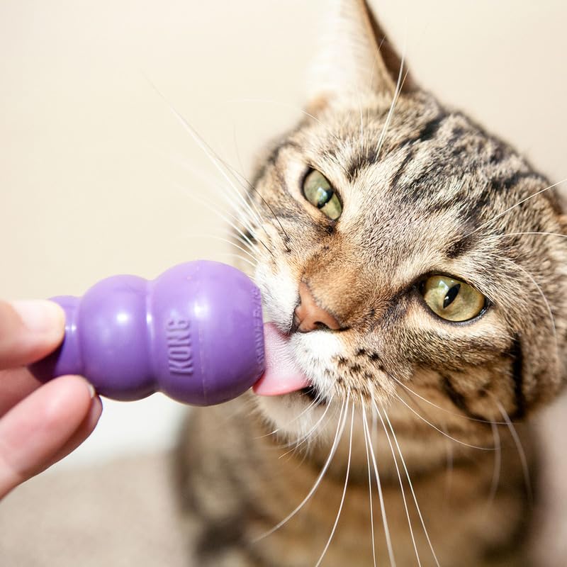 KONG Kitty Classic showing bounce and roll during play