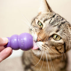 KONG Kitty Classic showing bounce and roll during play
