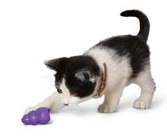 KONG Kitty Classic ideal for indoor play sessions with cats