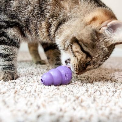 KONG Kitty Classic suitable as backup set in multi-cat homes