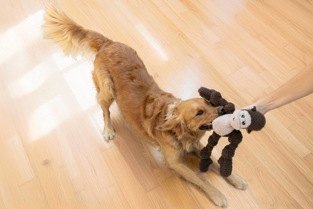 KONG Knots Oversized Monkey toy soft dual-plush material ideal for snuggling