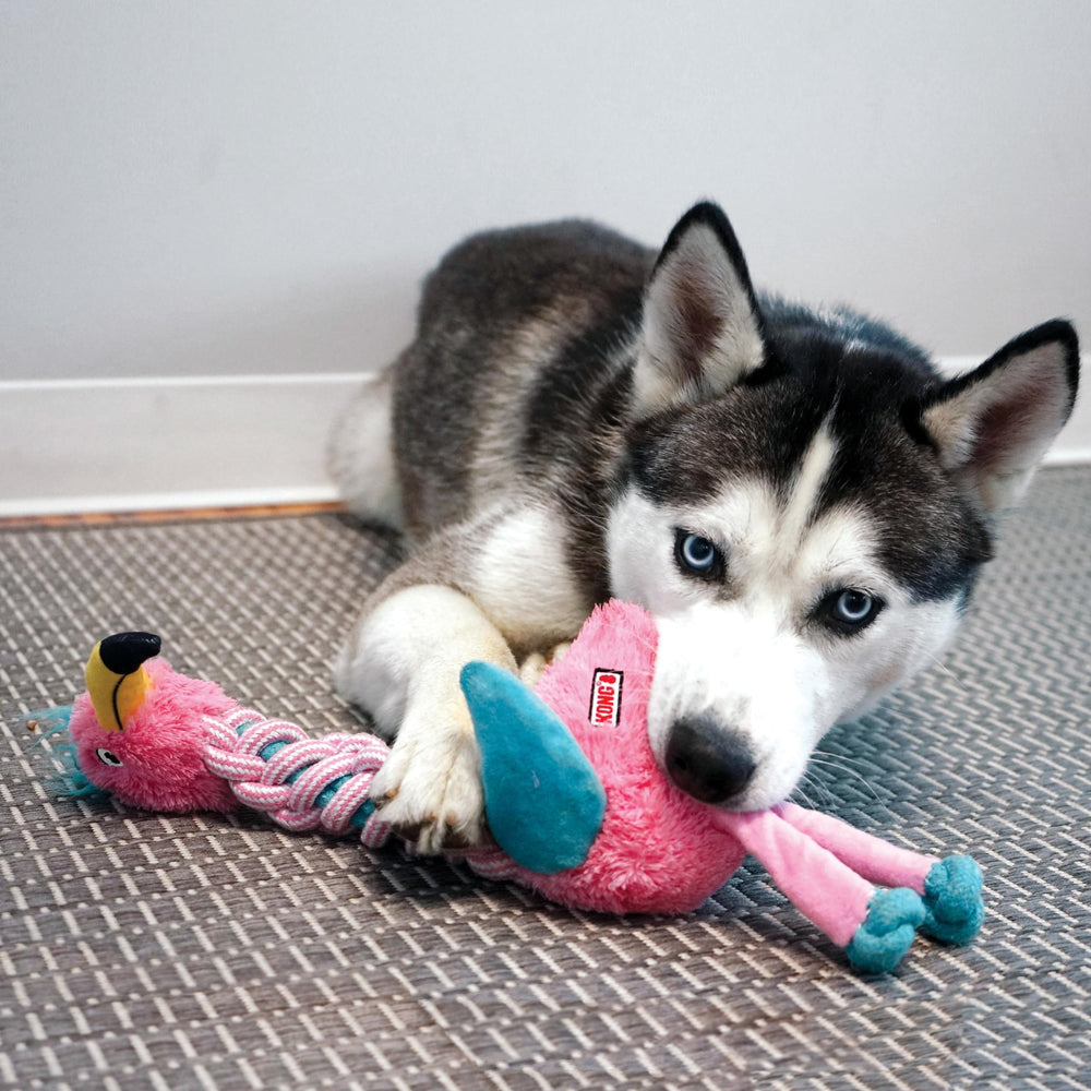 Durable cotton rope supports long-lasting chew sessions.