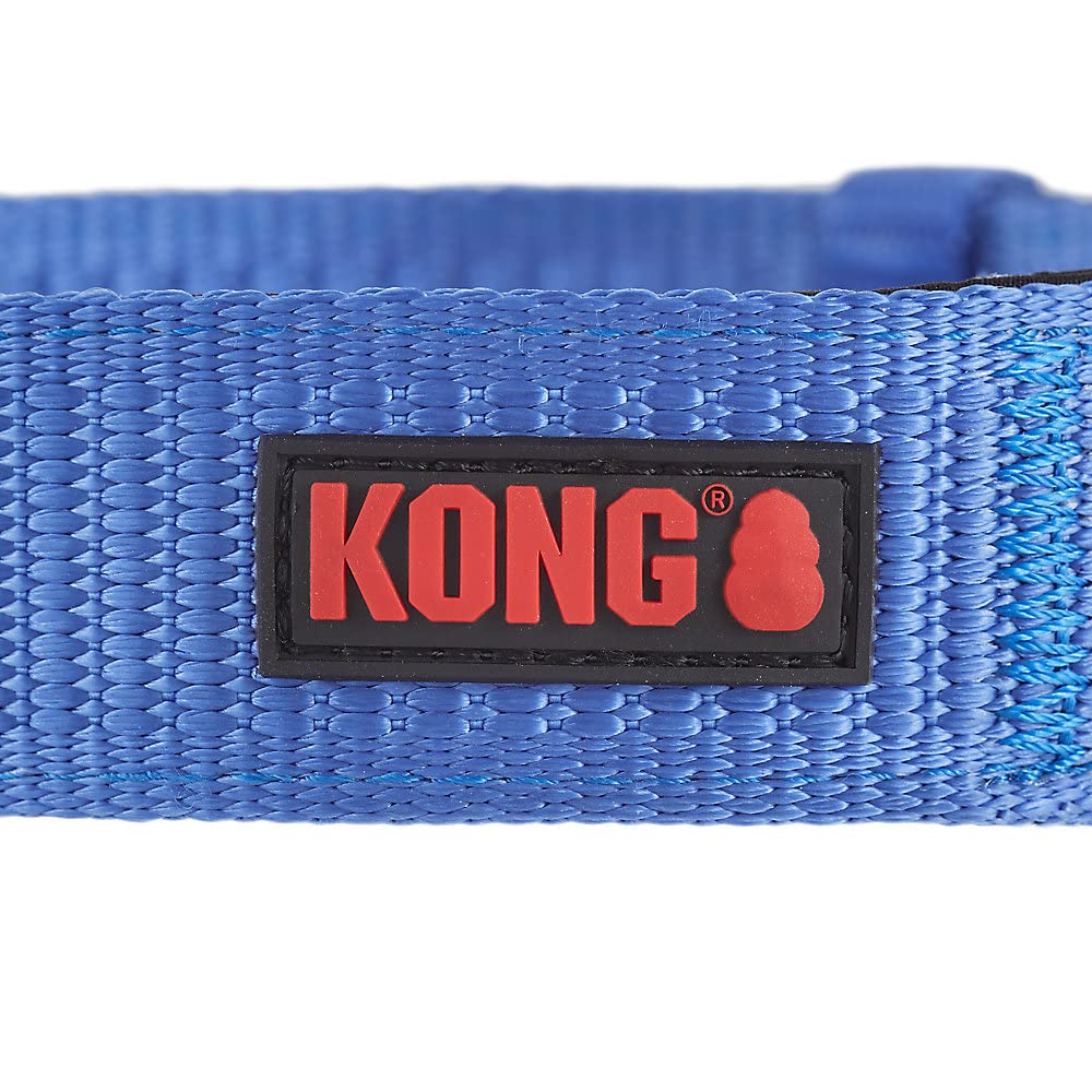 KONG Max HD collar with metal buckle and D-ring for secure leash attachment.