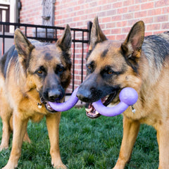 KONG Ogee Stick showcases a curved shape for longer tug sessions.