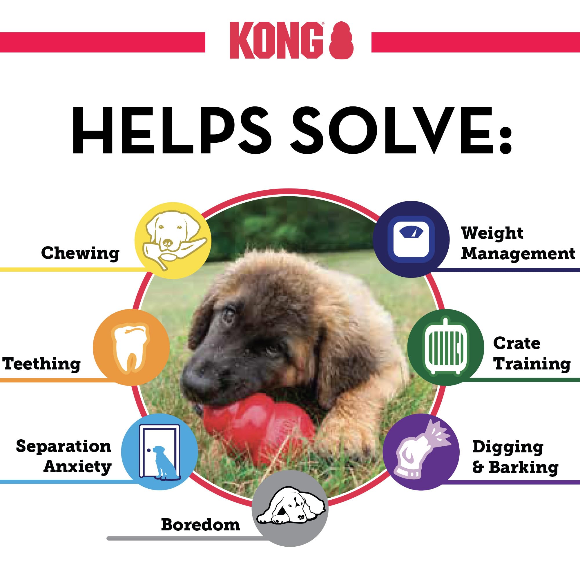 KONG Peanut Butter Easy Treat spray simplifies stuffing and flavor variety.