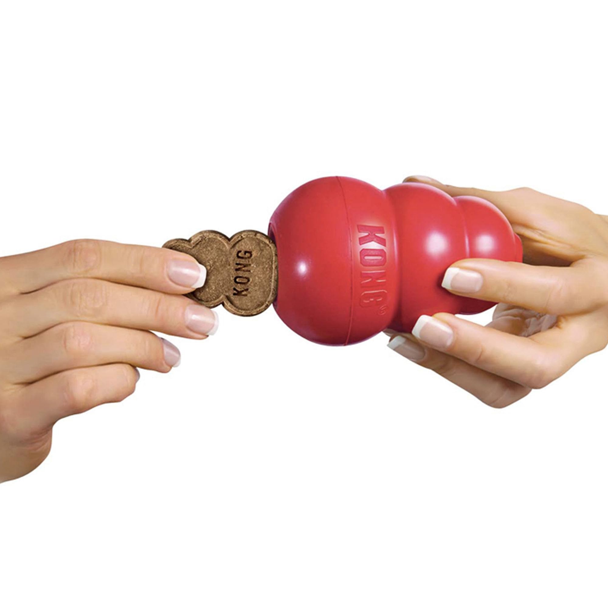 KONG Easy Treat flavors entice dogs during treat-time.