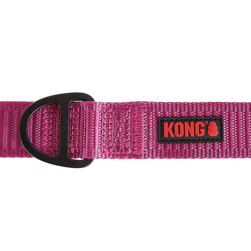 KONG pink dog leash used during an urban stroll.
