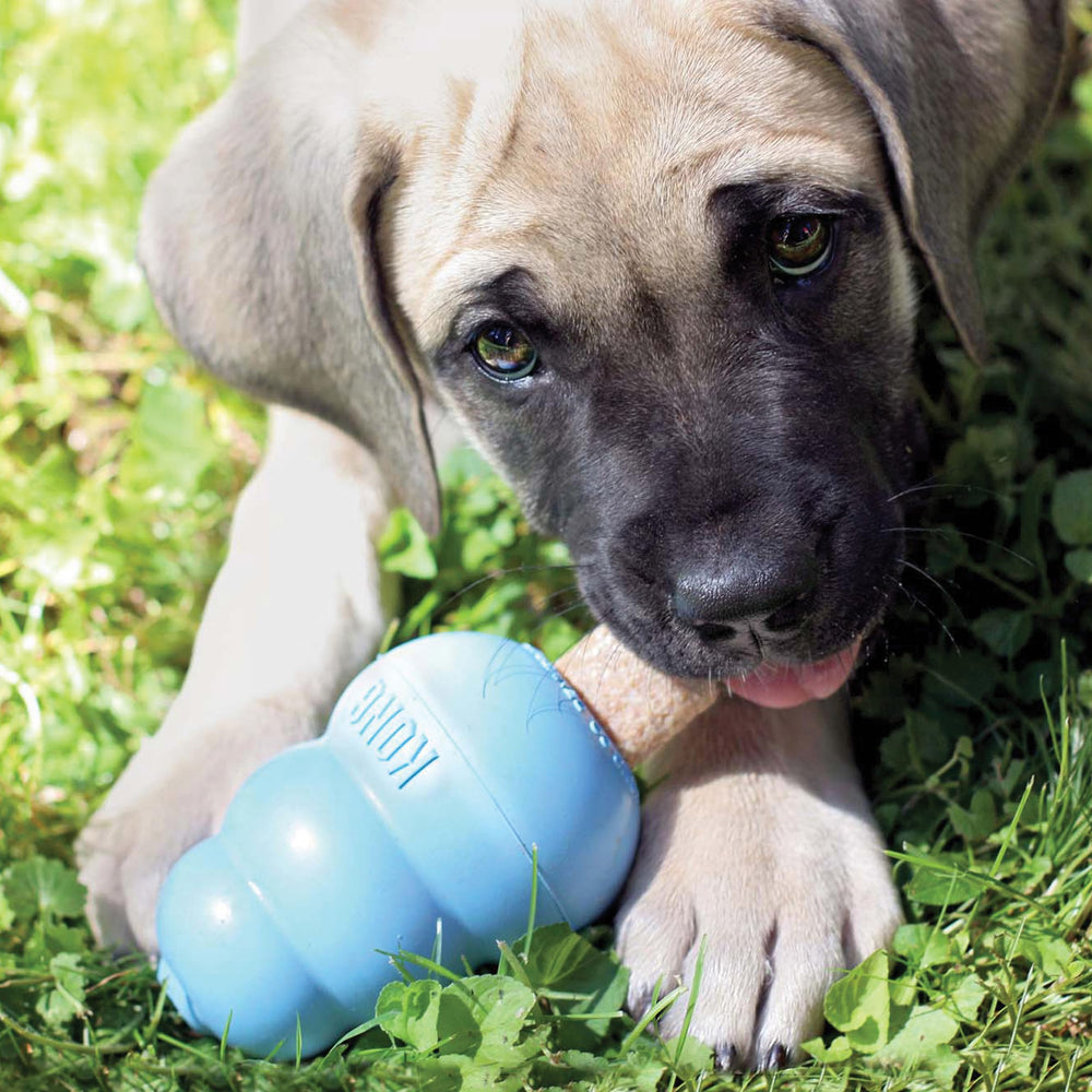 Digestible ingredients and gentle recipe for growing puppies.