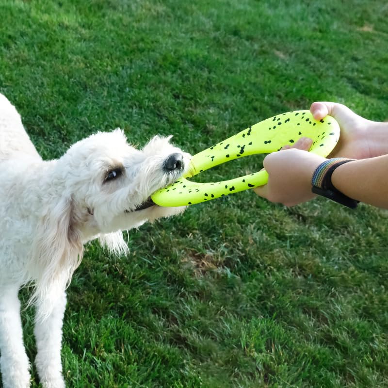 KONG Reflex Flyer shows bite-defying material for chewers during play