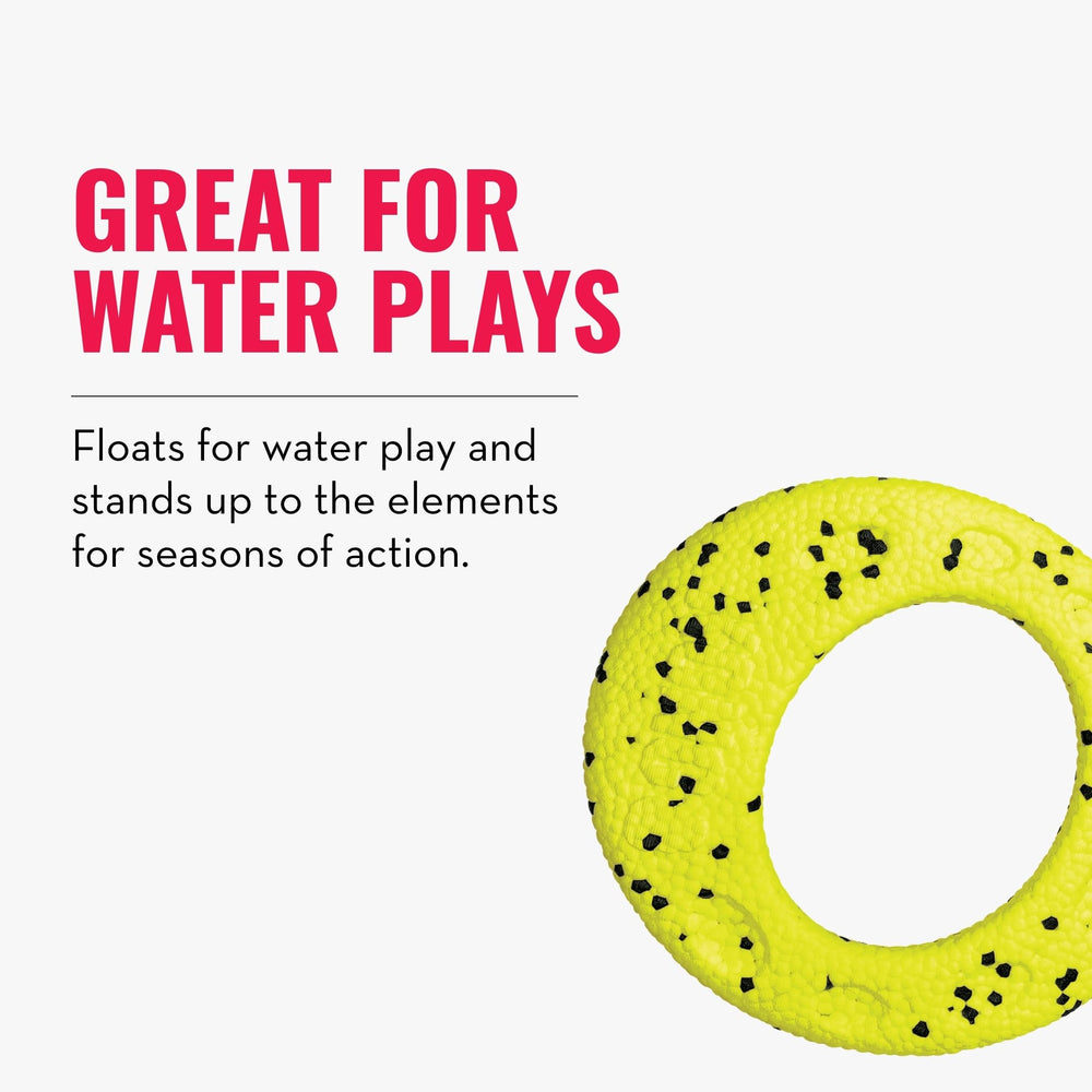 KONG Reflex Flyer promotes active interaction with friends and dogs