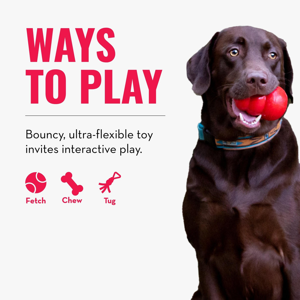 KONG Reflex Flyer withstands elements for seasons of fetch-ready fun