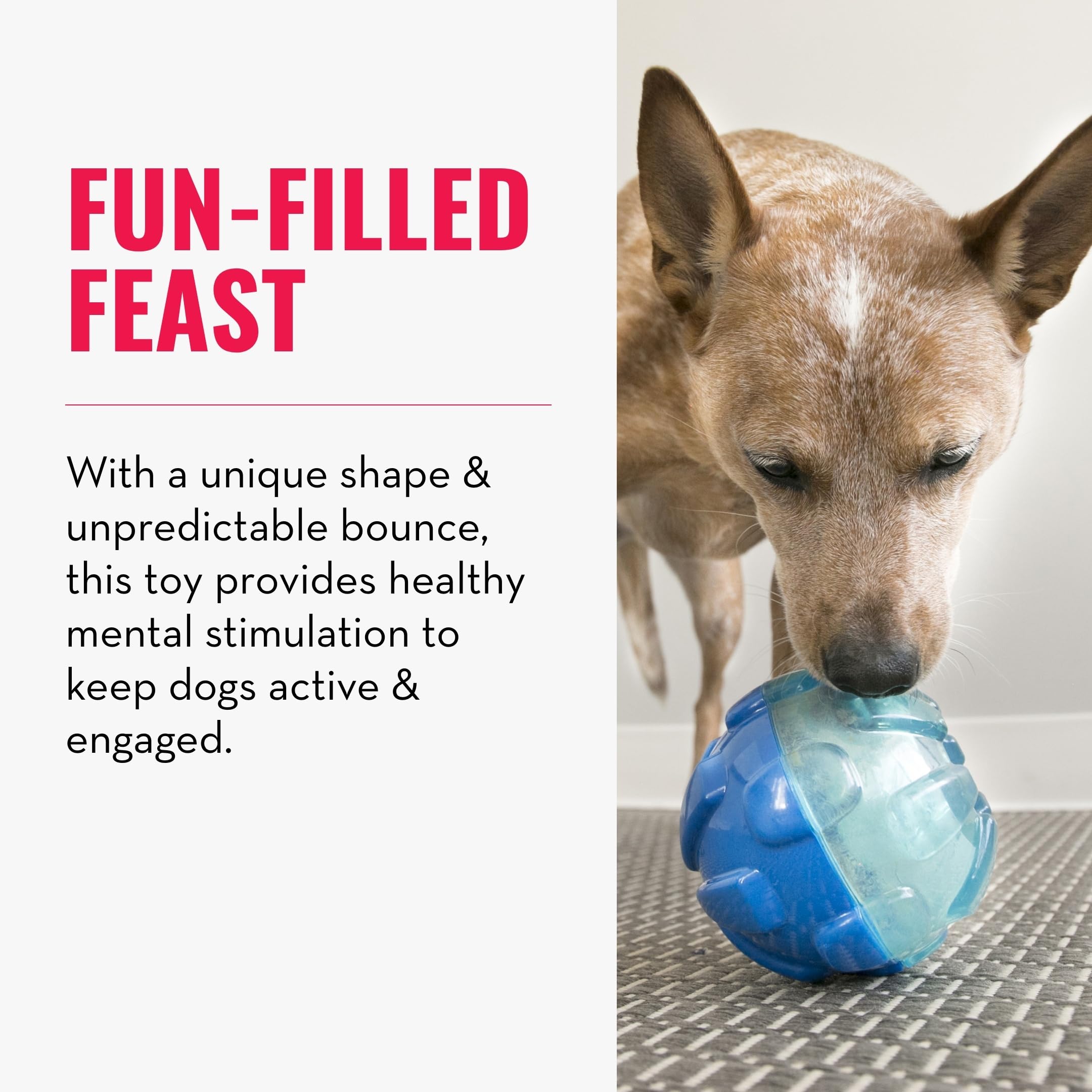KONG Rewards Ball in motion with bounce action illustrating engaging play for large dogs