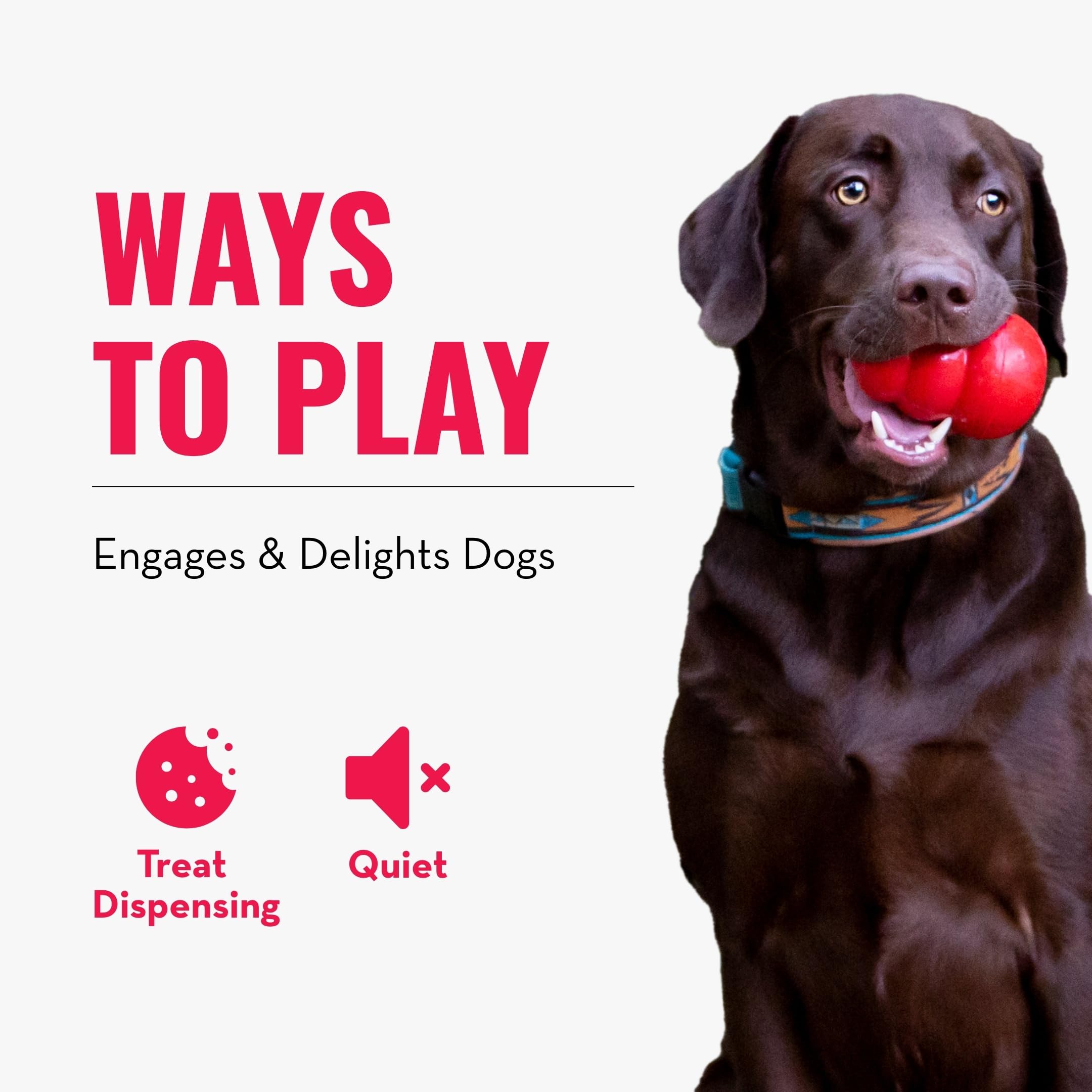 KONG Rewards Ball loading sequence with funnel for easy treat loading and cleaning