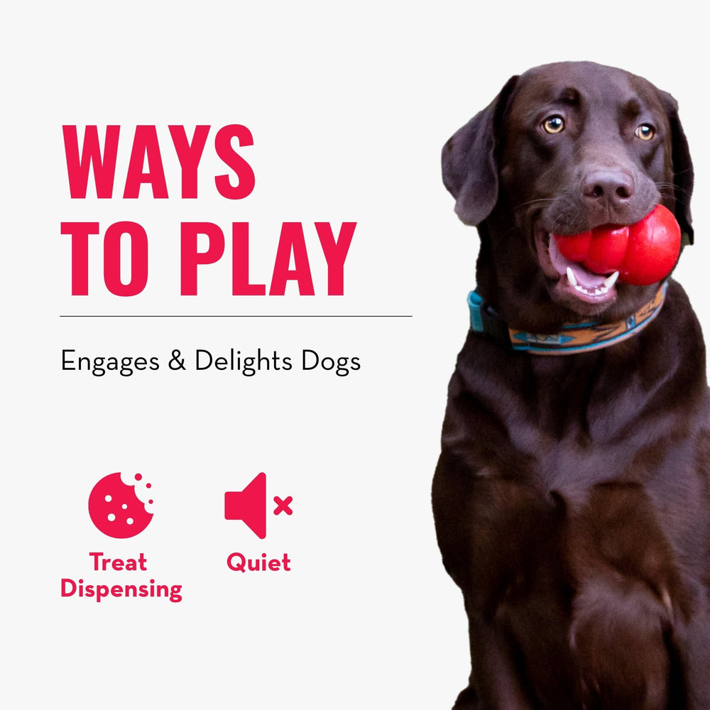 KONG Rewards Ball loading sequence with funnel for easy treat loading and cleaning