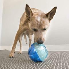 KONG Rewards Ball side view highlighting rugged, chew-friendly surface for active dogs