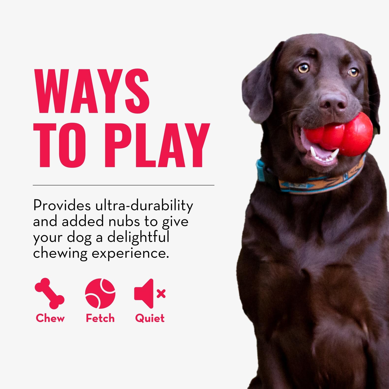 KONG Ring XL close-up ring shape emphasizes durability for extended chews.