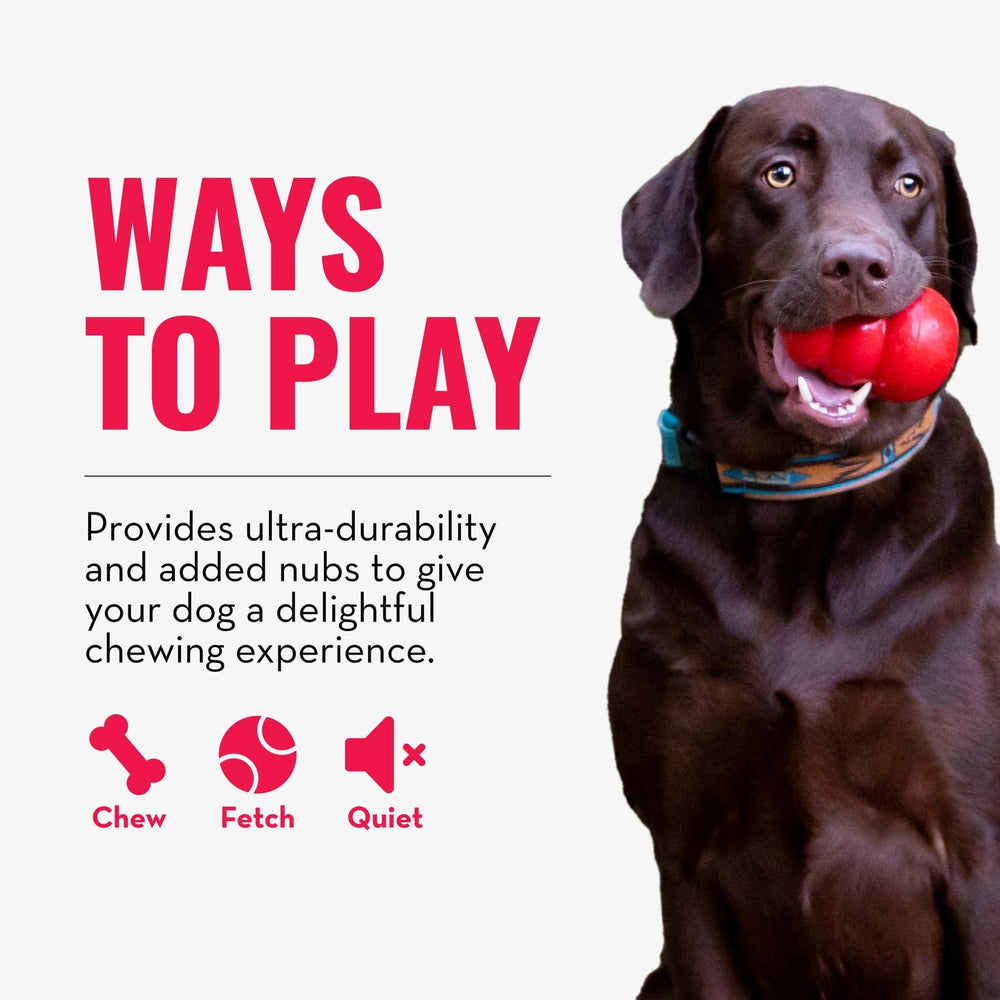 KONG Ring XL close-up ring shape emphasizes durability for extended chews.