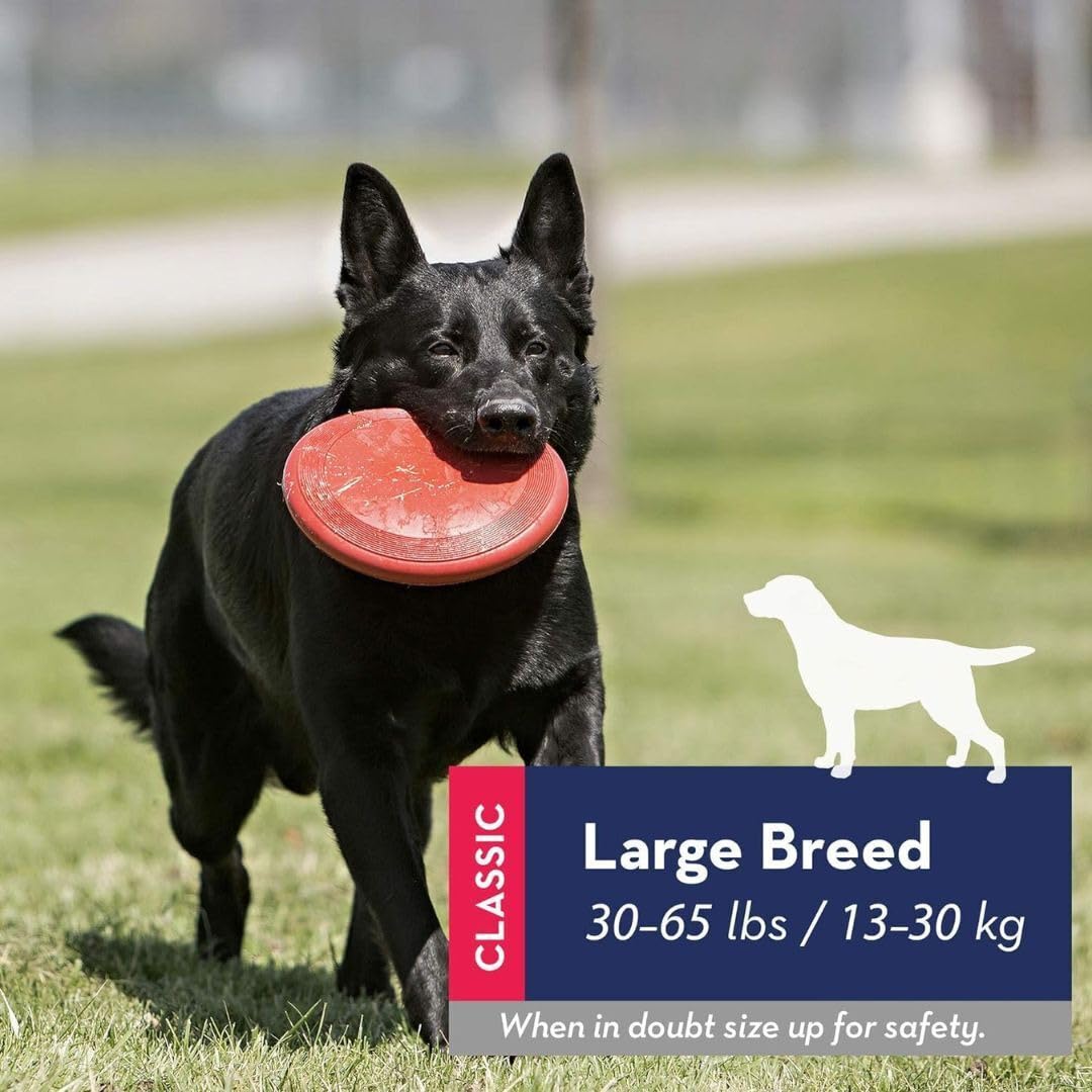 KONG Rubber Flyer large 2-pack red, retrieval-focused toy for supervised fetch.