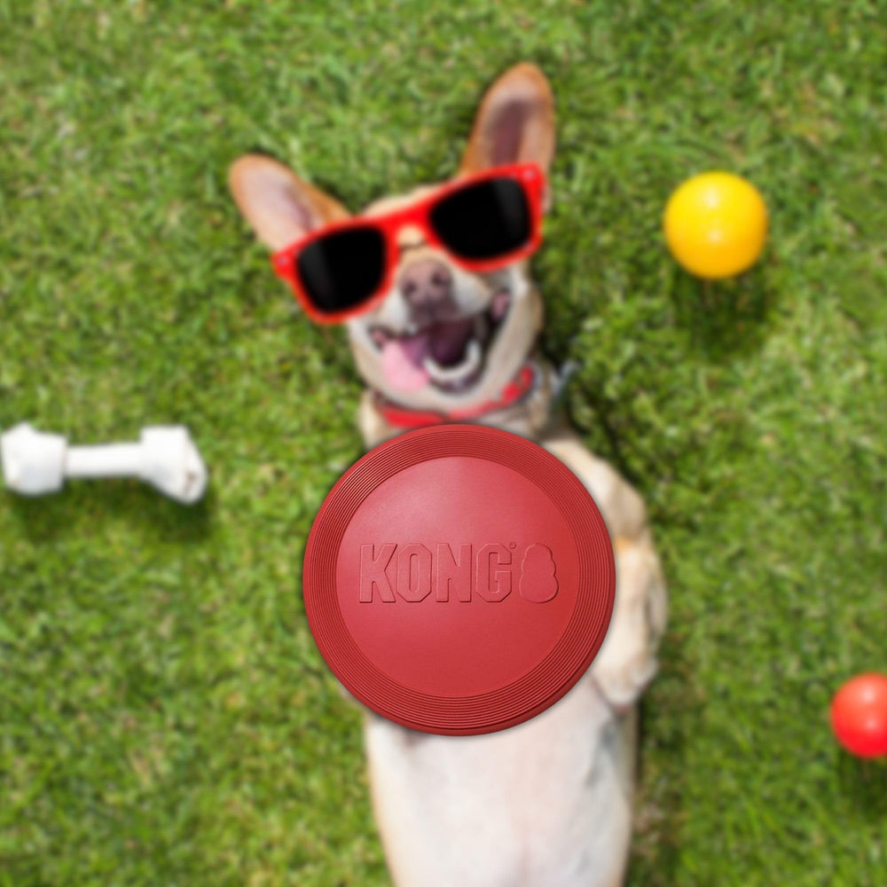KONG Rubber Flyer large 2-pack red, textured surface supports engaging play.