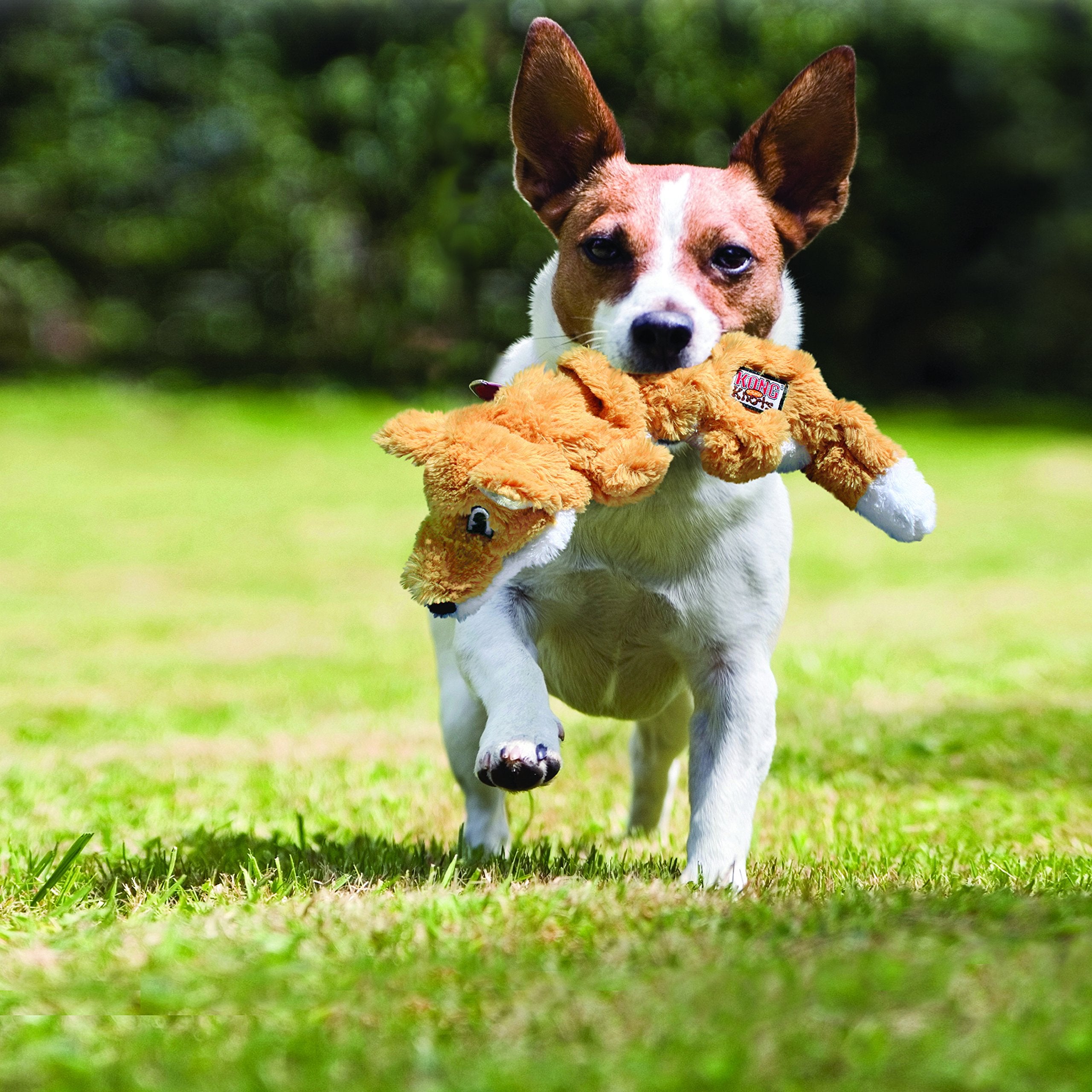 KONG Scrunch Knots Raccoon showing stretchable sides for natural movement during fetch
