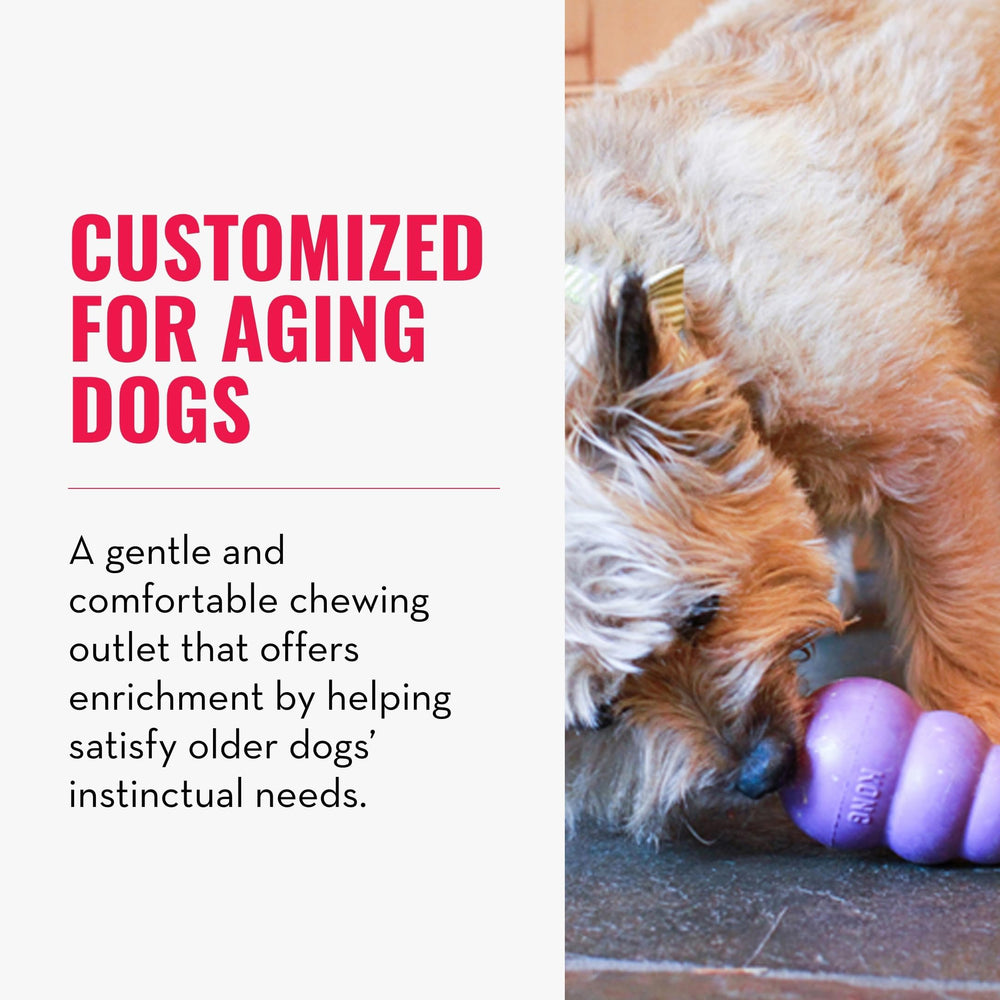 KONG Senior durable chew toy designed for gentle senior chewers