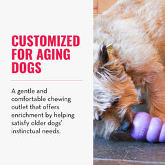 KONG Senior durable chew toy designed for gentle senior chewers